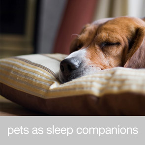 Pets as Sleep Companions